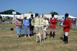 1771331247_1771331247_dunster-c-fair102