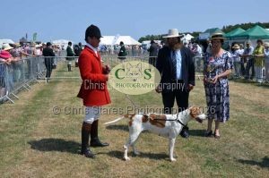 1771331252_1771331252_dunster-c-fair105