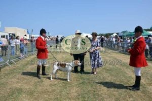 1771331253_1771331253_dunster-c-fair106