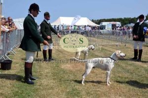 1771331263_1771331263_dunster-c-fair112