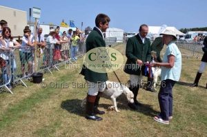 1771331265_1771331265_dunster-c-fair114