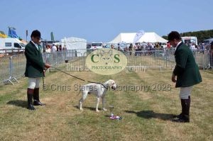 1771331266_1771331266_dunster-c-fair115