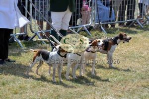 1771331269_1771331269_dunster-c-fair117