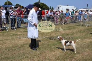 1771331270_1771331270_dunster-c-fair118