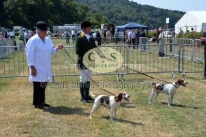 1771331273_1771331273_dunster-c-fair120