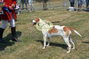 1771331284_1771331284_dunster-c-fair128