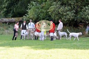 1771331294_1771331294_dunster-c-fair136