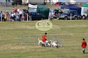 1771331299_1771331299_dunster-c-fair139