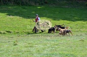 1771331302_1771331302_dunster-c-fair141
