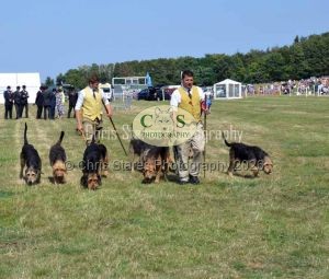 1771331304_1771331304_dunster-c-fair142