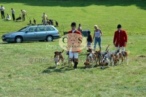 1771331311_1771331311_dunster-c-fair147