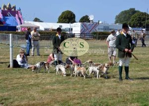 1771331315_1771331315_dunster-c-fair150