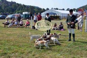 1771331319_1771331319_dunster-c-fair153