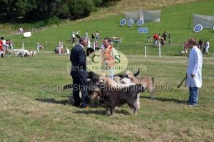 1771331327_1771331327_dunster-c-fair158