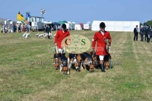 1771331331_1771331331_dunster-c-fair161