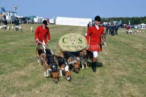 1771331333_1771331333_dunster-c-fair162