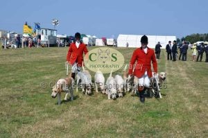 1771331335_1771331335_dunster-c-fair164