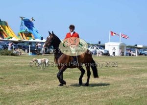 1771331345_1771331345_dunster-c-fair170
