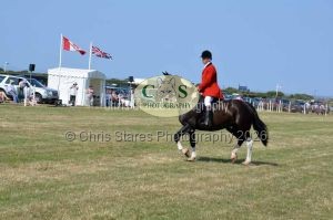 1771331346_1771331346_dunster-c-fair171