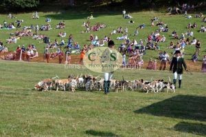 1771331348_1771331348_dunster-c-fair172