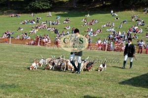 1771331350_1771331350_dunster-c-fair173