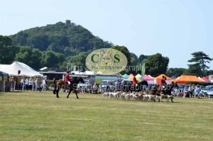 1771331352_1771331352_dunster-c-fair174