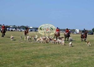 1771331358_1771331358_dunster-c-fair179