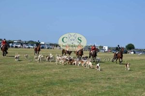 1771331359_1771331359_dunster-c-fair180