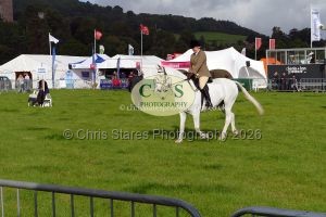 1771331461_1771331461_p1710657