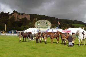 1771331463_1771331463_p1710658