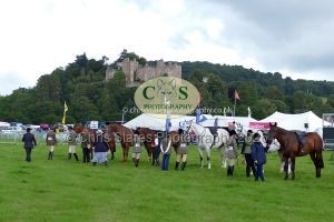 1771331466_1771331466_p1710661c