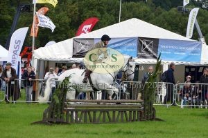 1771331485_1771331485_p1710689