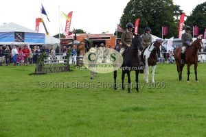 1771331492_1771331492_p1710695