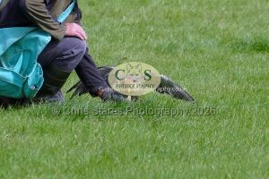 1771331500_1771331500_p1710716