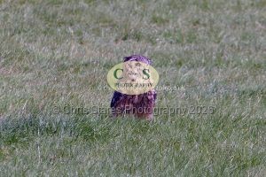 1771331501_1771331501_p1710718