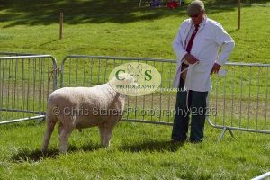 1771331507_1771331507_p1710737