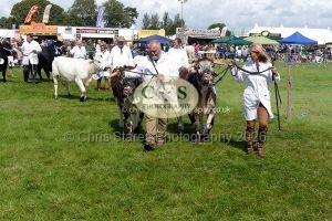 1771331511_1771331511_p1710741