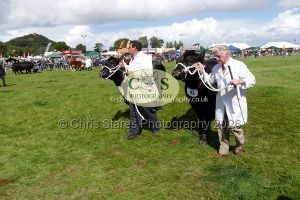 1771331514_1771331514_p1710744