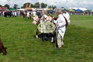 1771331515_1771331515_p1710745