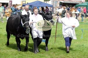 1771331518_1771331518_p1710748