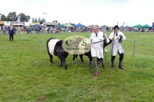 1771331521_1771331521_p1710750