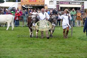 1771331523_1771331523_p1710752