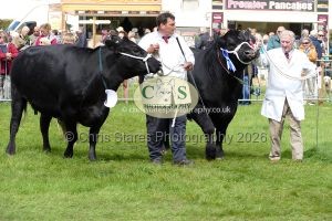 1771331527_1771331527_p1710757