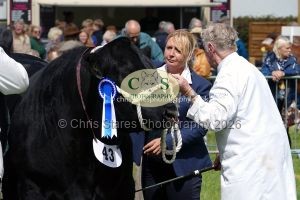 1771331530_1771331530_p1710761