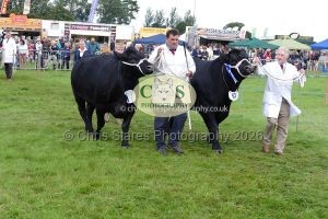 1771331532_1771331532_p1710762