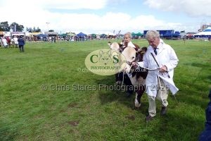 1771331533_1771331533_p1710763