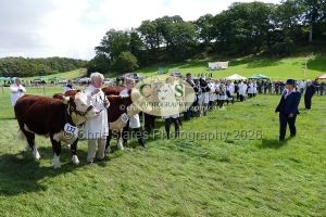 1771331536_1771331536_p1710768