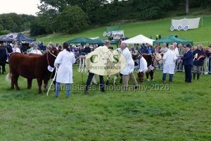 1771331539_1771331539_p1710773