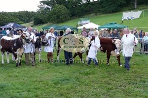 1771331541_1771331541_p1710774