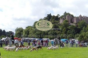 1771331543_1771331543_p1710781